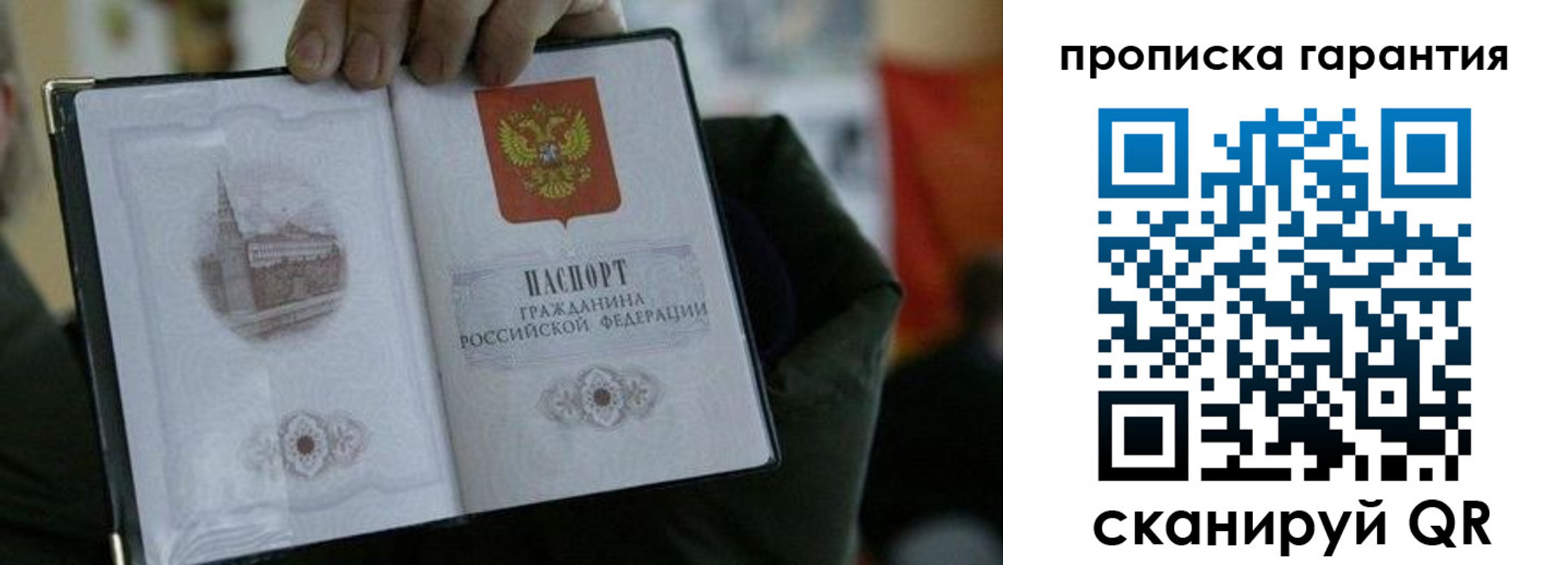 найти адрес прописки в Новом Осколе